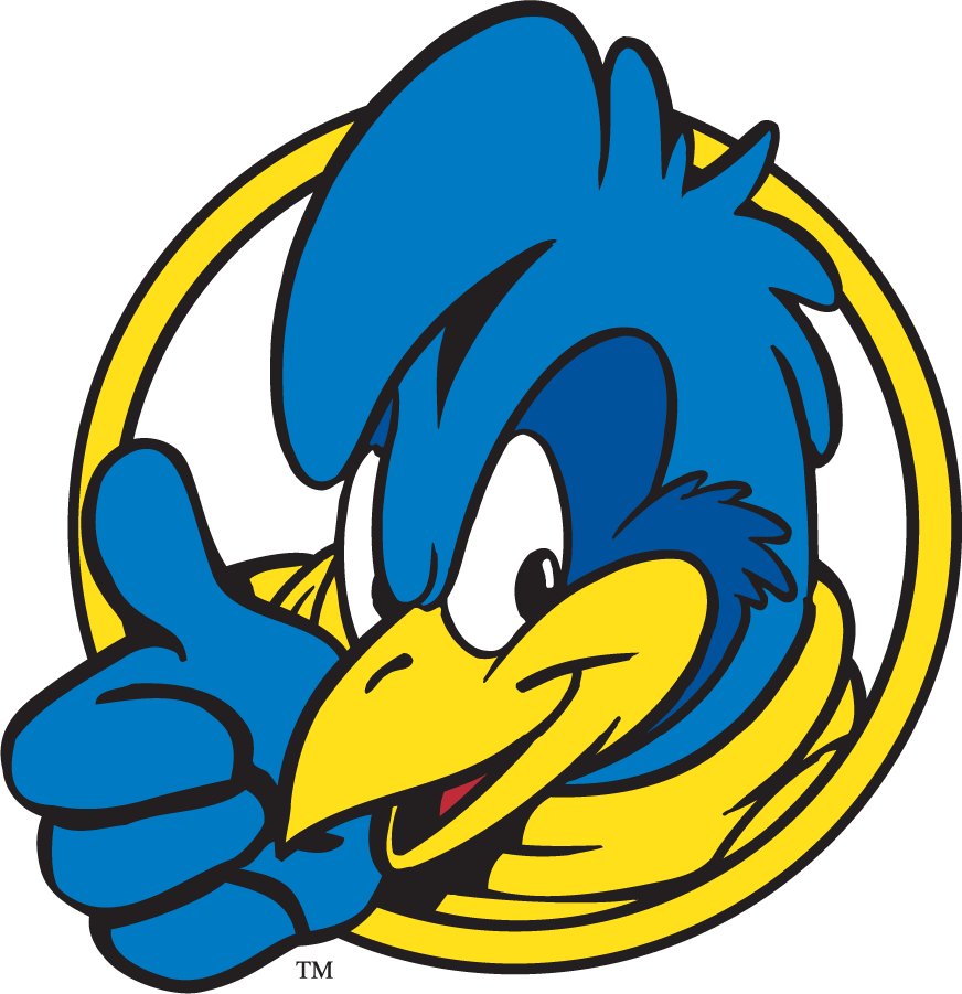 Delaware Blue Hens 1999-2009 Mascot Logo v10 t shirts iron on transfers